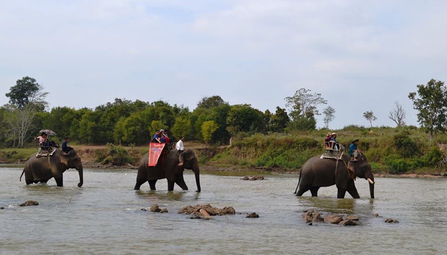 Đắk Lắk: Bỏ du lịch cưỡi voi, phát triển đa dạng sản phẩm