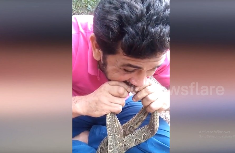 Video: Kinh hoàng với cảnh người đàn ông ngậm đầu 4 con rắn độc