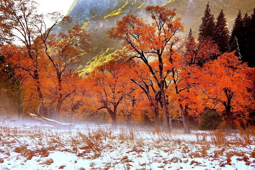 Nhật Bản, Hàn Quốc nơi mùa thu là mùa lá vàng, lá đỏ là mùa cảnh sắc đẹp nhất trong năm