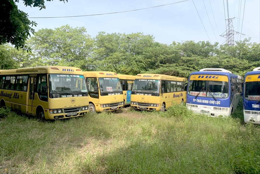 Ô tô kinh doanh chở khách liên tỉnh của nhiều doanh nghiệp đã dừng chạy 1-2 tháng nay, nhưng vẫn phải đóng phí bảo trì đường bộ. Ảnh: DN cung cấp