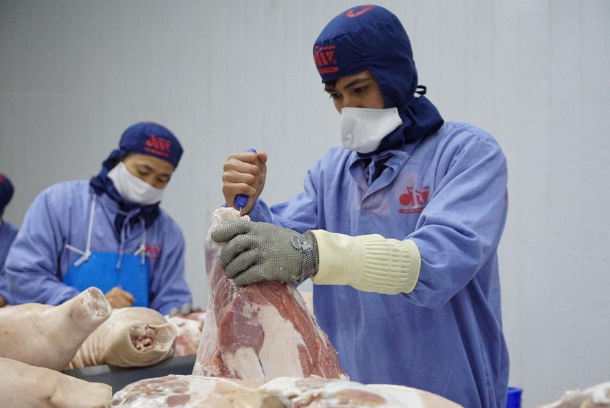 Bộ Công Thương khuyến cáo các doanh nghiệp, thương nhân xuất khẩu lợn sống, thịt lợn sang Campuchia cần theo đường chính ngạch Ảnh: Như Ý 