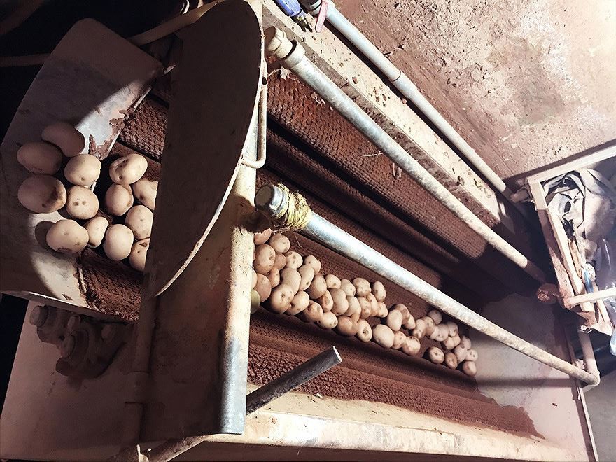 Tiểu thương nhập lượng lớn khoai tây Trung Quốc vào chợ nông sản Đà Lạt rồi rửa sạch và dùng máy móc tẩm đất đỏ Đà Lạt