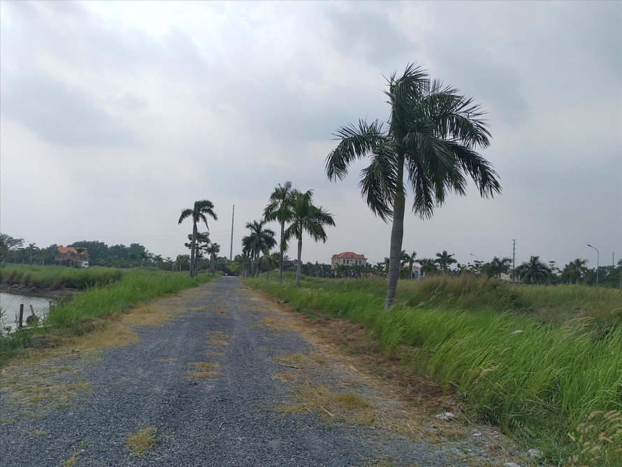 Dự án của Cty Phi Long tại huyện Bình Chánh chậm trễ nhiều năm do khâu thủ tục
