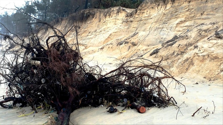 Bờ biển xã Phú Thuận bị sóng xâm thực nghiêm trọng 
