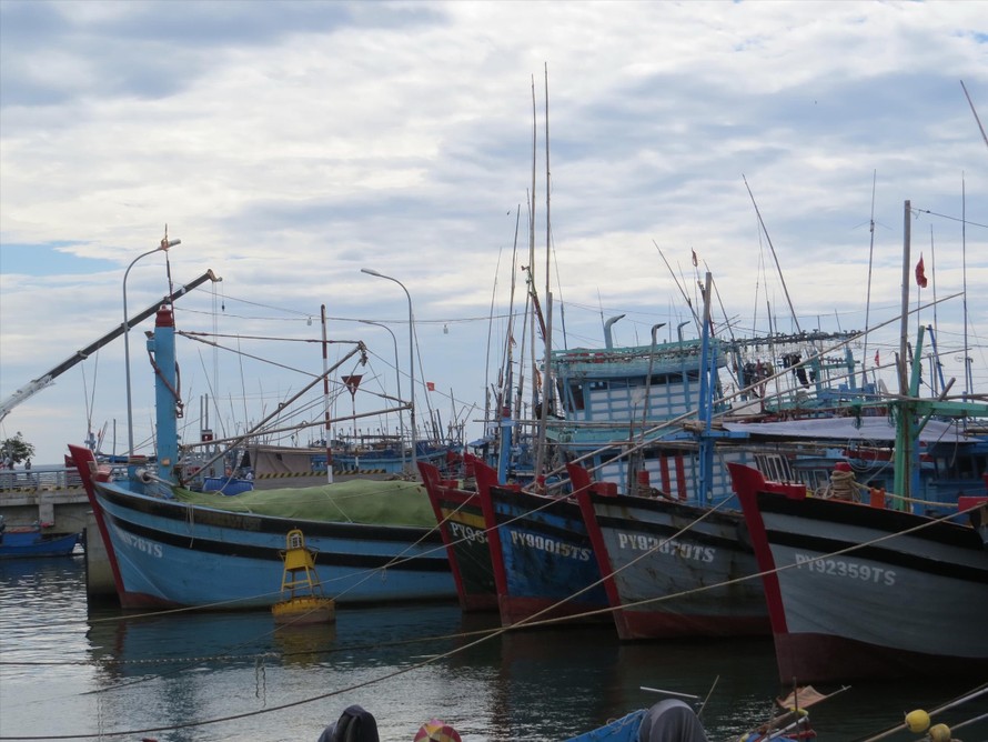 Hàng nghìn tàu cá có nguy cơ tạm nằm bờ do chưa lắp đặt thiết bị giám sát hành trình theo quy định Ảnh: Bình Phương