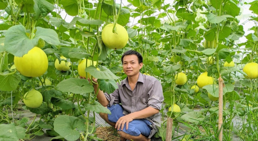 Mô hình khởi nghiệp rau sạch của anh Nguyễn Thanh Liêm (ở xã Việt Ðoàn, huyện Tiên Du) được vay vốn từ Tỉnh Ðoàn Bắc Ninh