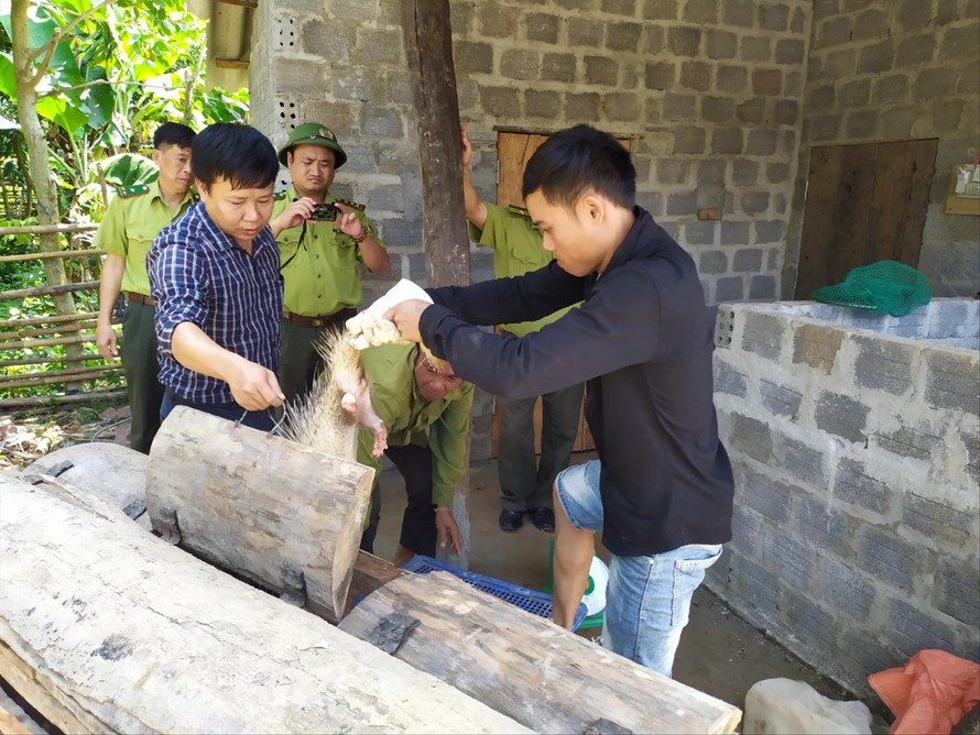 Cơ quan chức năng đang kiểm đếm số động vật hoang dã tại nhà ông Ðinh Xi