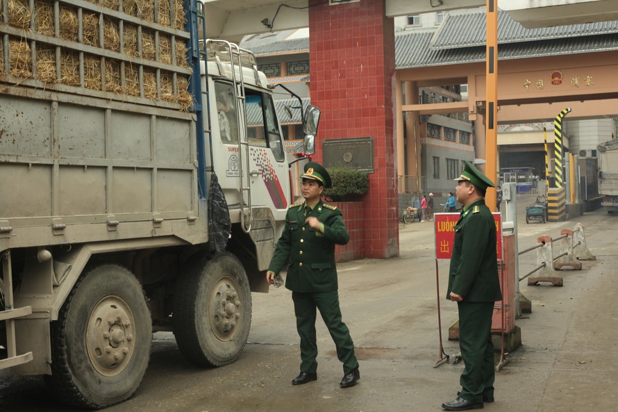 Nông sản Việt Nam xuất sang Trung Quốc bị tắc ở Lạng Sơn mấy ngày qua. Ảnh: Duy Chiến ​