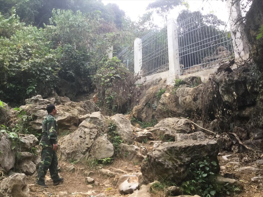 Hàng rào ngăn hàng lậu ở khu vực Hang Dơi, Thác Ném. Ảnh: Duy Chiến 