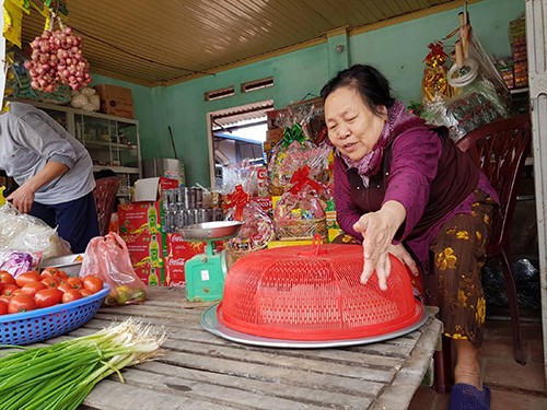 Bà Nguyễn Thị Thân đã đón nhiều cái Tết trong mùi rác thải ở Nam Sơn. Ảnh: Hoàng Trần 