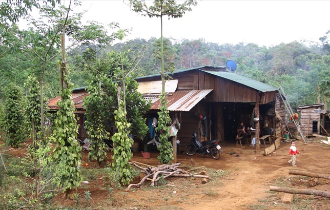 Đất rừng đã được huyện Đắk G’long cấp sổ đỏ cho người dân xã Quảng Sơn làm nhà, làm rẫy ở tiểu khu 1628 