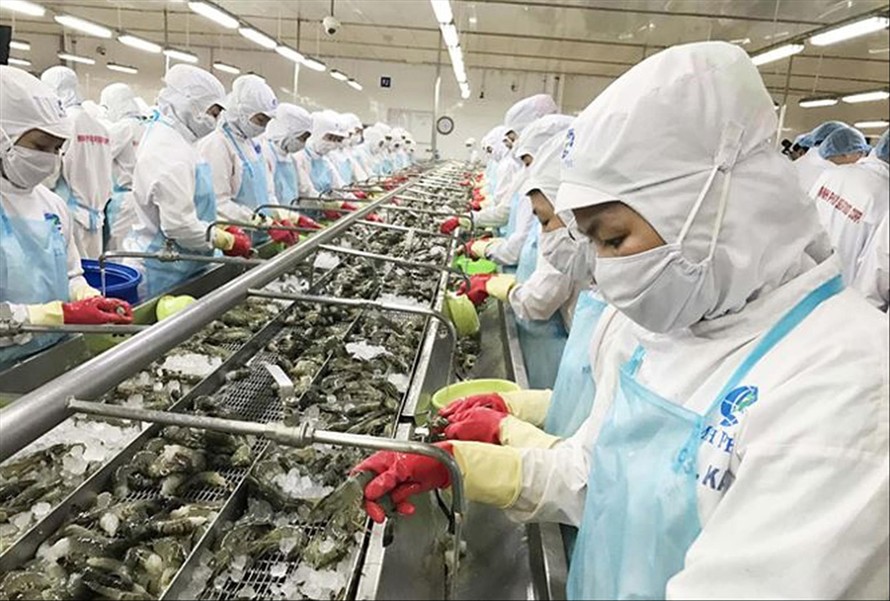 Theo dự báo, nhiều lĩnh vực, ngành nghề và mặt hàng xuất khẩu của Việt Nam sẽ bị cạnh tranh gay gắt. Ảnh: Như Ý 