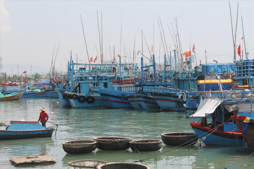 Hàng loạt tàu cá nằm bờ ở Cảng cá Hòn Rớ, xã Phước Đồng, TP Nha Trang. Ảnh: Vĩ Cầm