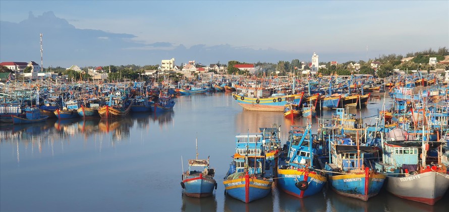 Đội tàu đông đúc neo đậu ở cảng cá thị xã La Gi Ảnh: Văn Minh 