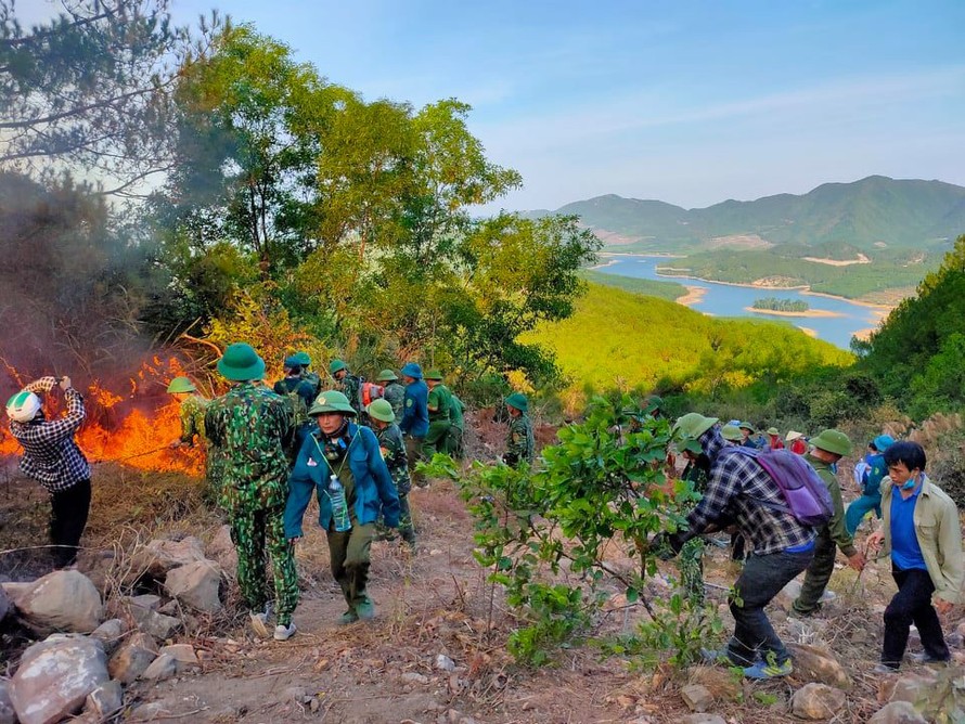 Lực lượng chống cháy rừng được huy động dập lửa