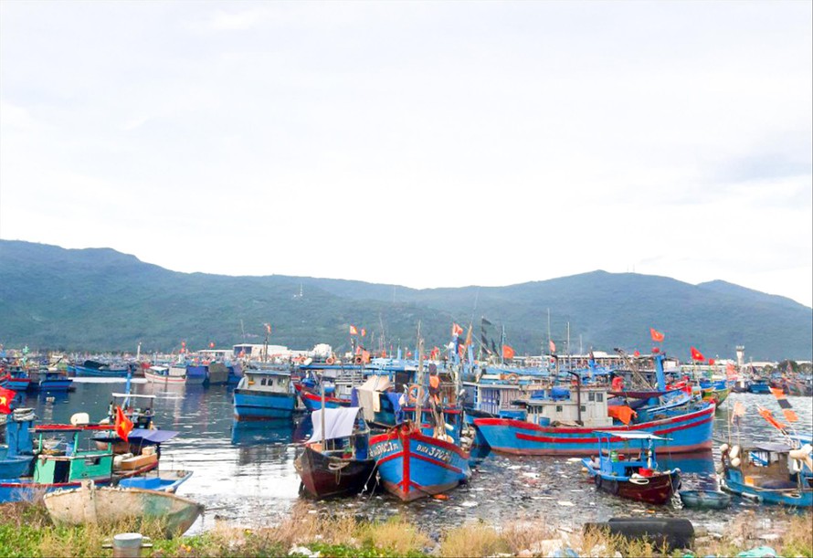 Tàu thuyền neo đậu, trú tránh bão tại âu thuyền Thọ Quang (Đà Nẵng) Ảnh: Nguyễn Thành 