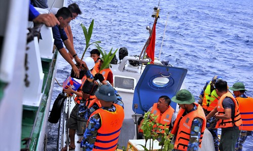 Những cây dừa xiêm được chuyển đến đảo Đá Tây A trong “Mùa hè tình nguyện - Hành động vì Trường Sa xanh” Ảnh: CTV 