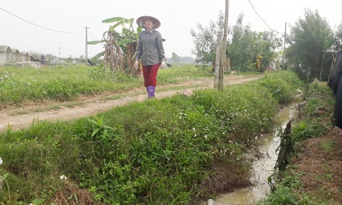 Đường nước thải của Cty CPCGR Hà Tây chảy ra kênh mương tưới tiêu của xã Tam Hiệp Ảnh: pv