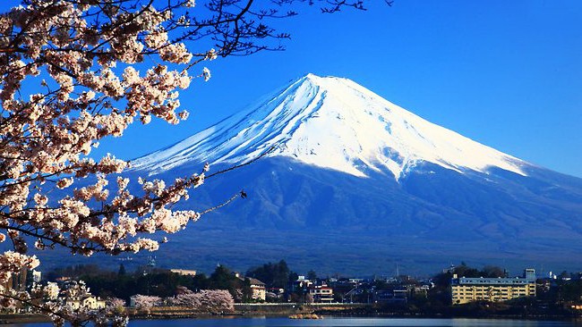 Đại sứ quán Nhật ra thông báo về hủy bỏ, đình chỉ tư cách một số công ty du lịch 