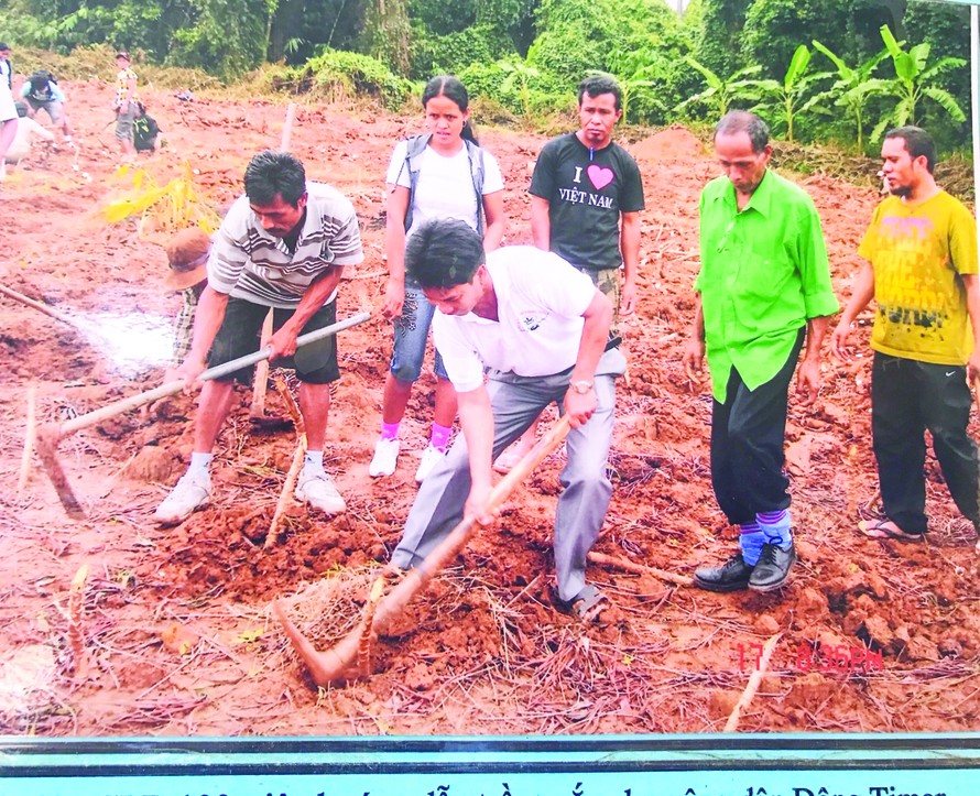Các thành viên “Câu lạc bộ trăm triệu” hướng dẫn cho các đại biểu nông dân Đông Timor cách cuốc đất trồng sắn