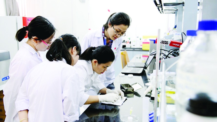 TS Nguyễn Thị Hiệp hướng dẫn sinh viên thực hành trong phòng thí nghiệm 