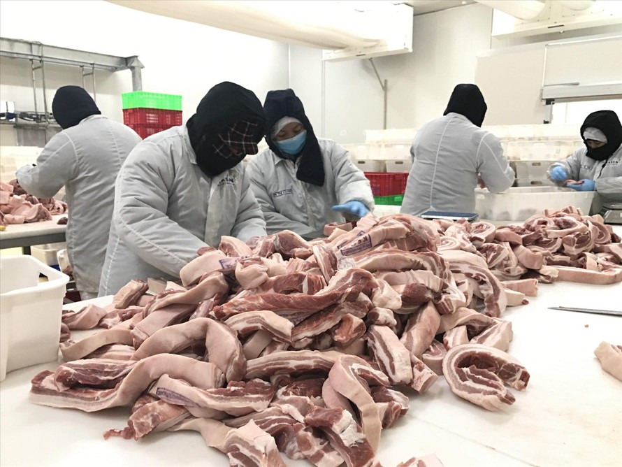 Dự kiến vào đầu quý IV/2020, nguồn cung thịt lợn mới đáp ứng được nhu cầu tiêu dùng trong. Ảnh: Bình Phương