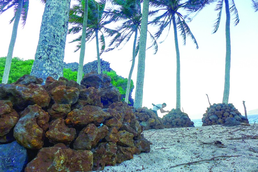 Đá nham thạch hỏa diệm sơn ôm giữ từng gốc dừa trên đảo Bé ảnh: Trần Tuấn