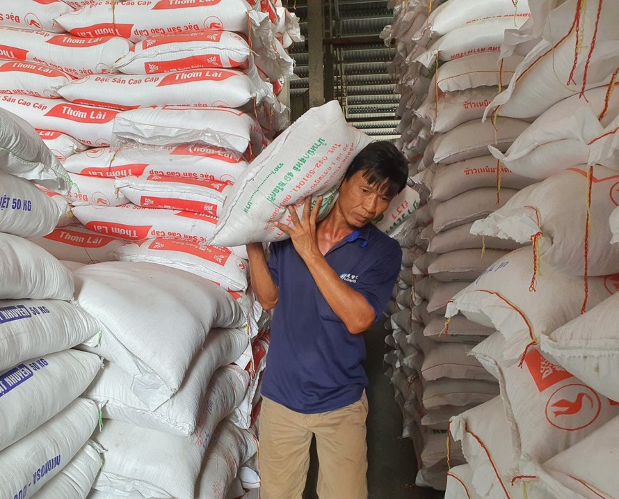 Theo các chuyên gia, xuất khẩu gạo của Việt Nam không cần tập trung quá vào loại đặc sản, mà cần giữ ổn định chất lượng Ảnh: Cảnh Kỳ 