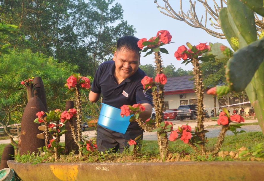 Hồ Văn Lai chăm sóc những cây xương rồng bát tiên ở Trung tâm RENEW/NPA