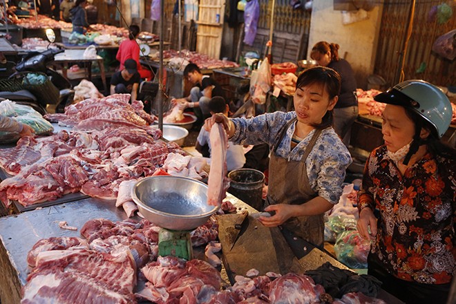 Bộ Công thương lo ngại thiếu nguồn cung thịt lợn dịp cuối năm. Ảnh: Hồng Vĩnh