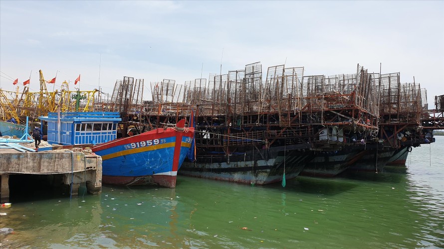Hàng chục tàu câu mực đang neo đậu tại cảng An Hòa (Núi Thành, Quảng Nam)