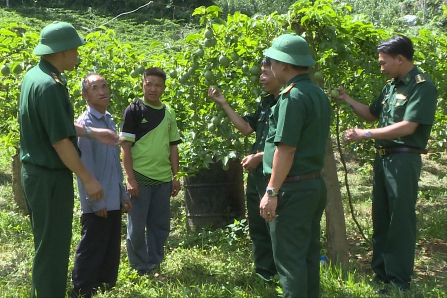 Cán bộ Đồn Biên phòng cửa khẩu Lóng Sập hướng dẫn người dân chăm sóc cây chanh leo Ảnh: CTV