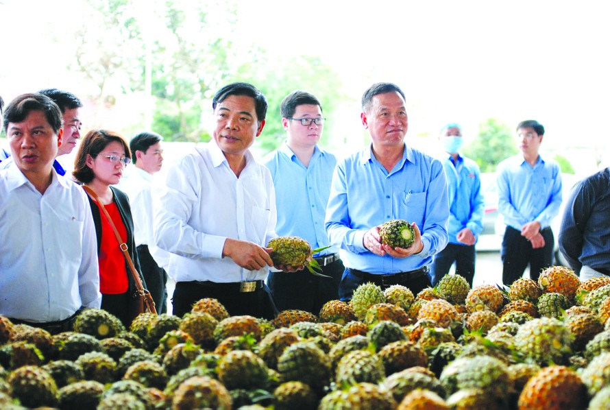 Chủ tịch DOVECO Đinh Cao Khuê (bên phải) giới thiệu sản phẩm nông nghiệp thông qua mô hình liên kết chuỗi với Bộ trưởng NN&PTNT Nguyễn Xuân Cường