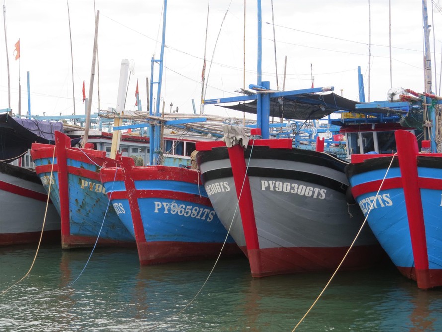 Các địa phương được yêu cầu thực hiện quyết liệt các giải pháp, ngăn chặn tàu cá đánh bắt bất hợp pháp trên vùng biển nước ngoài Ảnh: Bình Phương 