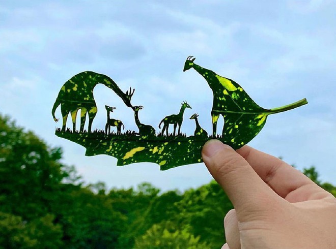 Nghệ sĩ Nhật mắc chứng ADHD với tài năng 'kể chuyện' trên lá cây