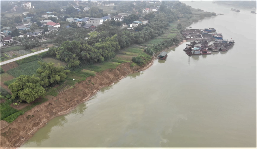 Đua nhau hút cát sông Lô: Chủ tịch Phú Thọ chỉ đạo kiểm tra, xem xét dừng khai thác