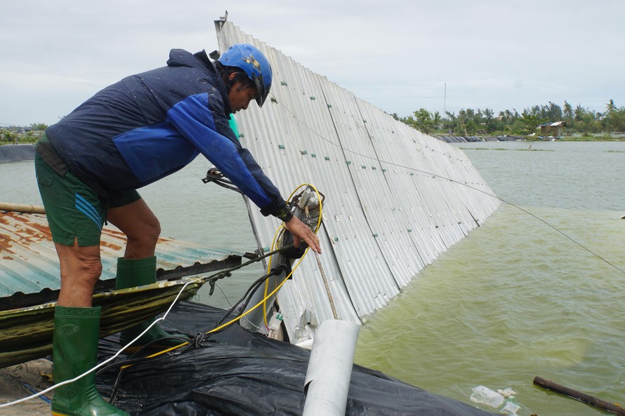 Chủ đầm tôm cá thất thần vì mất trăm triệu đồng do bão Noru