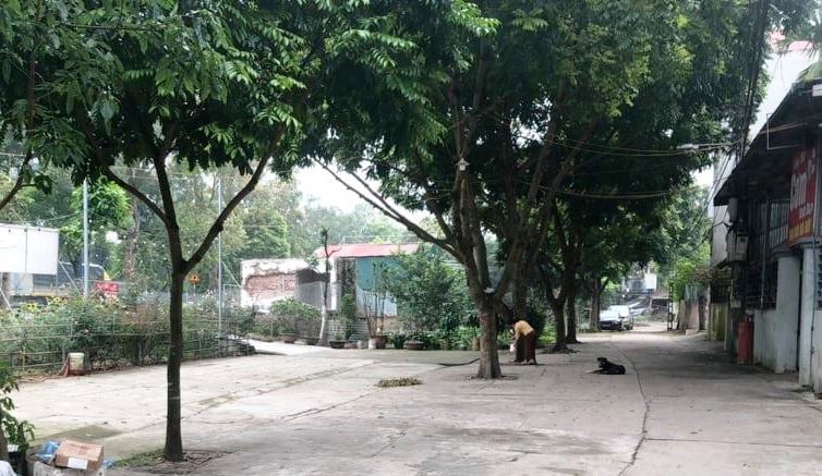 Một số hộ dân ở xã Đa Tốn (huyện Gia Lâm,thành phố Hà Nội) lấn chiếm, san lấp, xây kè mương thoát nước để sử dụng diện tích làm hàng quán kinh doanh.