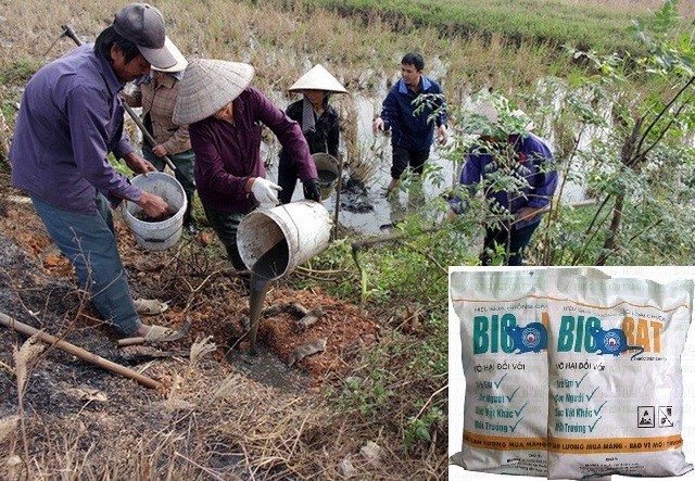 Thành phố Thanh Hóa đã dừng sử dụng thuốc diệt chuột bị cấm lưu hành Biorat