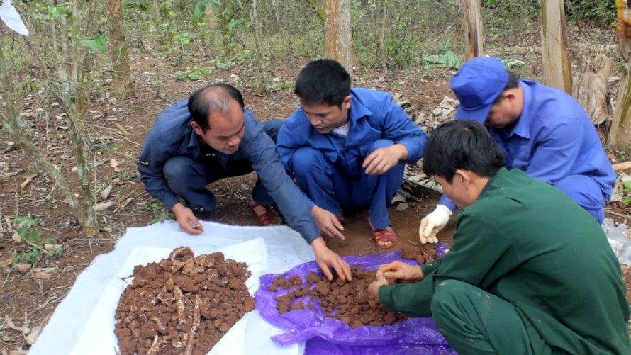 Hài cốt liệt được tìm thấy ở Trường Sơn thuộc địa phận thôn Tân Hào, xã Tân Liên (Hướng Hóa, Quảng Trị) ngày 26/3. Ảnh: Khánh Hưng.