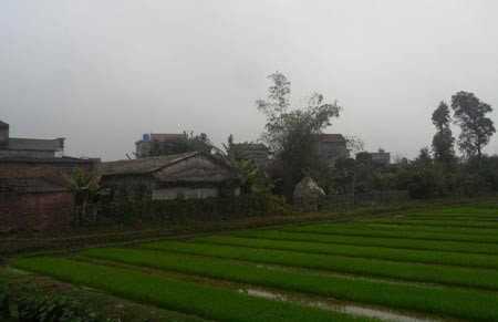 Một góc nhỏ của xóm làng Chuộn.