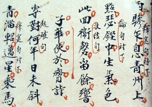 Nhiều gia phả, sách cổ được ghi lại bằng chữ Hán Nôm. Ảnh: Hodoanthaiha.