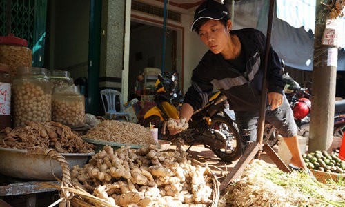 Giá gừng tăng do nguồn cung thiếu so với cầu.