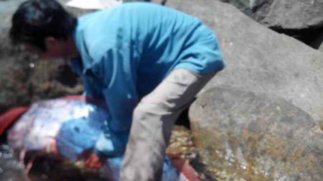 Dân câu của câu lạc bộ câu cá Hải Vân bắt được chú "cá khủng" . Ảnh: caucadananghoian.com