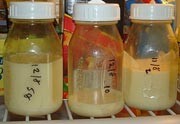 Khi xin sữa, cần ghi lại ngày giờ trên bình chứa để sử dụng an toàn.