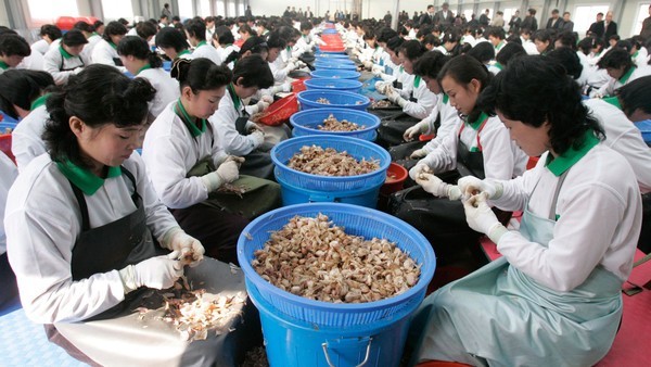 Triều Tiên cấm công nhân nhận thù lao bằng bánh