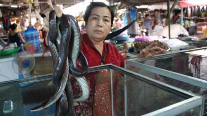 Người dân ở đây chỉ mua bán chủ yếu các loại rắn như: ri cá, ri voi, bông súng…