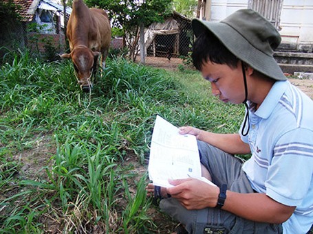 “Cậu bé chăn bò” tranh thủ mọi lúc, mọi nơi để ôn bài, đọc sách.