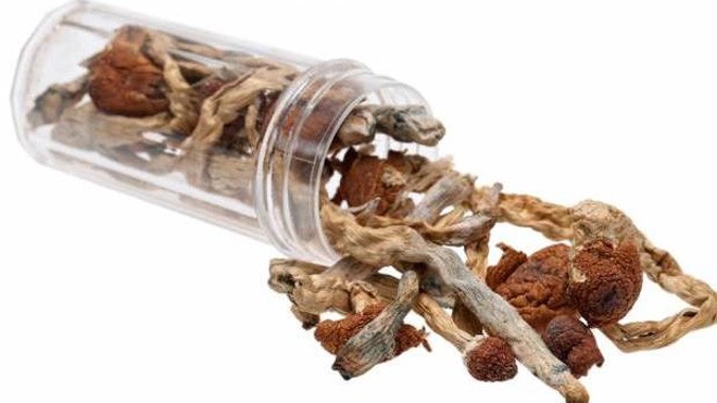 Thuốc gây ảo giác chiết xuất từ nấm giúp cai nghiện thuốc lá