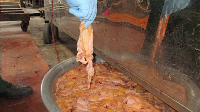 Thịt gà thối độn bột mì thêm phụ gia, phẩm màu độc hại cho ra chà bông giá rẻ. 